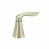 Best reviews of 🤩 Moen Eva 4-3/10 in. Metal Handle Kit in Brushed Nickel ✨